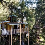 DJI_0033-41604840953074