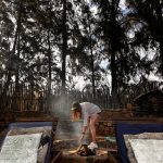 Fire Pit